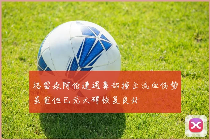 格雷森阿伦遭遇鼻部撞击流血伤势虽重但已无大碍恢复良好
