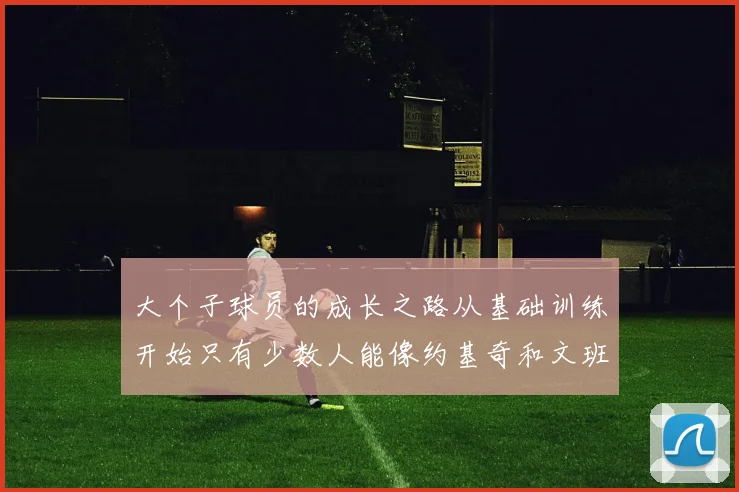 大个子球员的成长之路从基础训练开始只有少数人能像约基奇和文班那样成功
