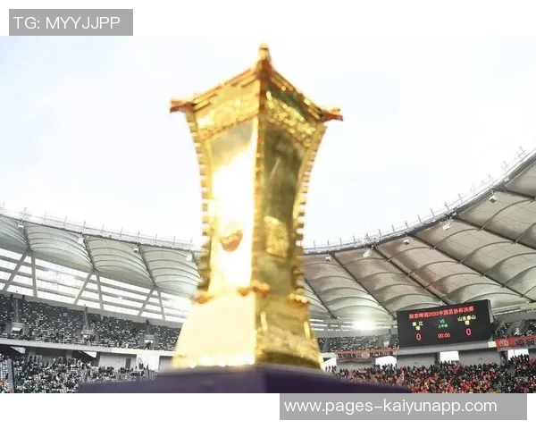 国安状态堪忧引发球迷不满部分球迷已选择退票无奈应对足协杯决赛